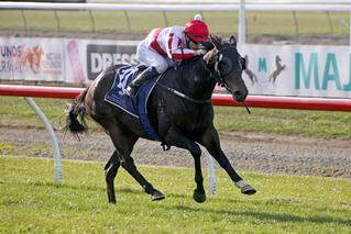 No Pushover earns a share of the lead in the NZB Southern Filly of the Year Series. Photo Credit: Race Images Christchurch.